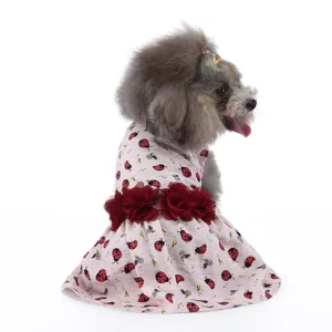 Gros plan détaillé de la robe d'été pour animaux avec joli imprimé coccinelle et fleurs.