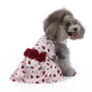 Détail de robe pour chien motif coccinelle, vêtement d'été respirant pour animal avec fleurs.
