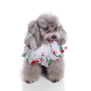 Detail view of a festive Christmas pet collar with red and green pom-poms on a grey poodle.