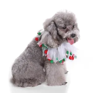 Close-up of a grey poodle wearing a festive white mesh pet collar with red and green pom-poms