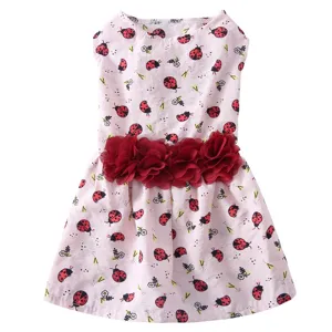 Détail de la jolie robe pour animal à motif coccinelle, tissu rose et fleurs rouges.