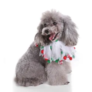 Close-up of a grey poodle wearing a festive white mesh pet collar with red and green pom-poms