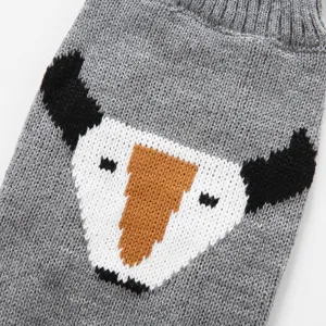 Gros plan détaillé du pull tricoté pour chien montrant clairement le joli motif animalier.