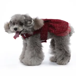 Vue rapprochée détaillée d'un caniche gris portant une robe scintillante pour animal