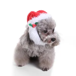 Small dog wearing a festive red and white plush Christmas hat decoration on white background