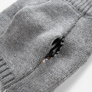 Détail de pull tricoté pour animal de compagnie avec ouverture pratique pour laisse de chien