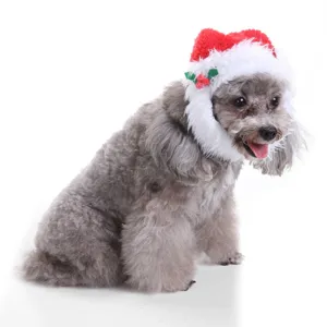 Detail of a plush red and white Christmas pet hat with holly leaves on a small dog