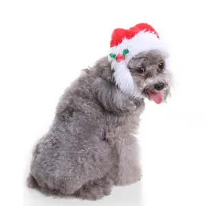 Detail view of a cute plush red and white Christmas hat with holly leaves on a pet dog