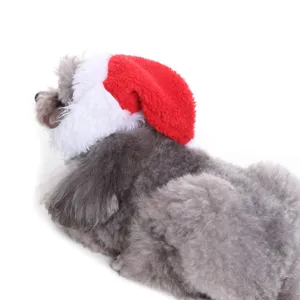 Detail view of a soft red and white plush Christmas hat on a grey poodle