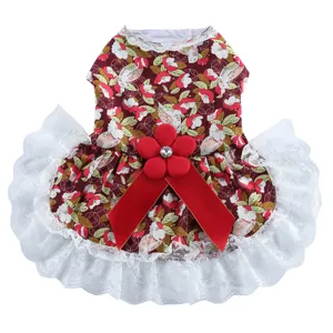 Gros plan sur la jolie robe pour chien avec imprimé floral, dentelle et nœud rouge.