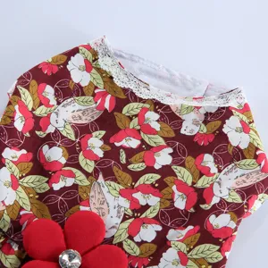 Gros plan sur le col de la robe pour animal à motif floral avec bordure en dentelle et strass.