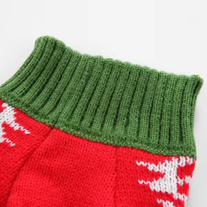 Gros plan sur le detail du tricot de pull animal, col roule vert et motif rouge.
