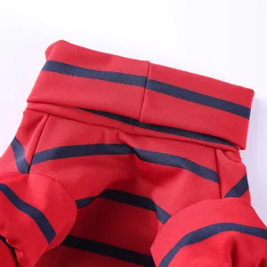 Detailaufnahme rote blaue gestreifte Hundekleidung Rollkragen Haustier Pullover Welpe