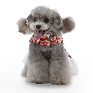 Vue détaillée de la jolie robe pour chien à imprimé floral et bordures en dentelle élégantes.