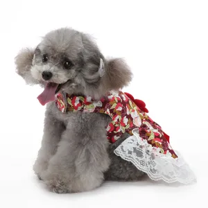 Vue détaillée de la robe pour chien élégante avec imprimé floral, bordure en dentelle et nœud.