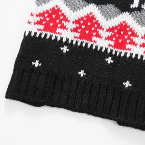 Détail de pull d'hiver confortable pour animal avec motif tricoté classique pour chien.