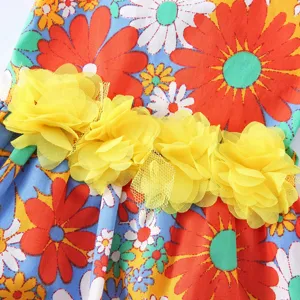 Gros plan détaillé d'une robe pour animal de compagnie à motif marguerite rétro et fleurs en tulle.