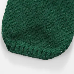 Détail d'ourlet de pull pour animal en tricot vert, gros plan de vêtement d'hiver pour chien.