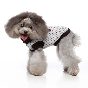 Gros plan détaillé du pull d'hiver pour animal de compagnie au design de col roulé confortable.