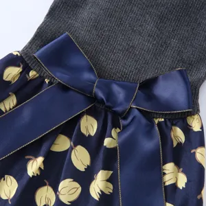 Vue détaillée de jolie robe pour chien chat avec haut en tricot côtelé et jupe florale.