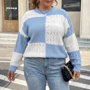 Plus size color block knit sweater for women, casual long sleeve crewneck pullover winter chic top.