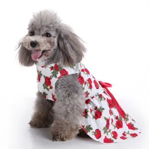 Detail view of a cute grey poodle wearing a white summer dress with red rose floral print