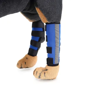 Dettaglio del tutore blu per gamba del cane con strisce riflettenti per supporto post-operatorio