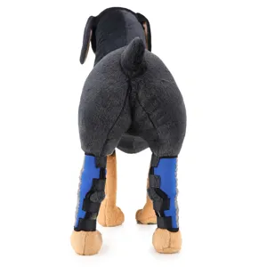 Vista dettagliata delle ginocchiere blu regolabili per cani sulle zampe posteriori
