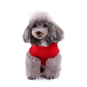 Gros plan détail d'un gilet pour chien rouge vif porté par caniche, vêtement pour animal en tricot.