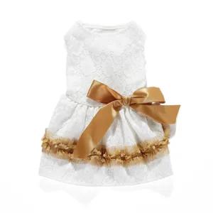 Detailed view of the white lace pet dress with a golden satin bow and ruffles.