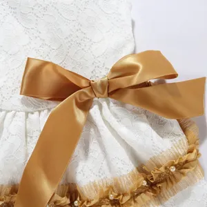 Macro view of white lace pet dress with large gold satin bow and pearl ruffles