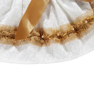 Detailed macro view of cute pet summer dress featuring white lace and gold ribbon trim