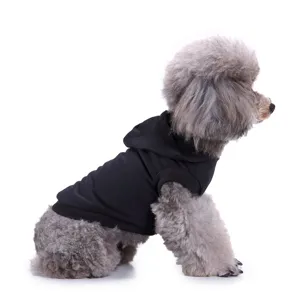 Gros plan d'un chien portant un gilet noir uni, vêtement d'été confortable pour animaux de compagnie.