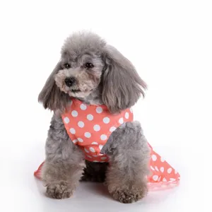Detailed view of a stylish coral pink polka dot summer dress on a small gray poodle