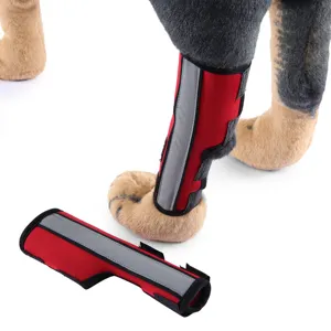 Tutore per gambe di cane rosso con striscia riflettente per supporto e stabilità