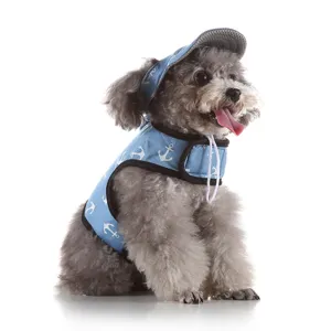 Primo piano dettagliato di un cane con gilet per imbracatura per animali e cappellino coordinato.