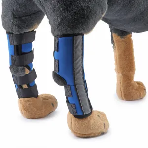 Vista dettagliata della ginocchiera blu per cani con strisce riflettenti e cinturini velcro