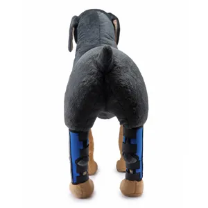 Vista posteriore di tutori blu professionali per zampe di cani per supporto infortuni