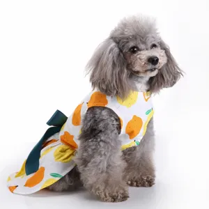 Cute poodle in white summer dress with yellow lemon pattern and a green bow detail.