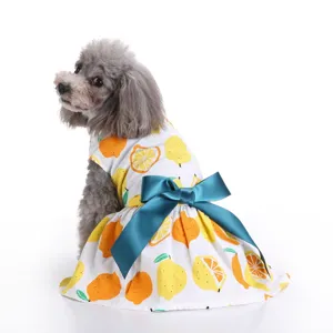 Back view of cute pet summer dress with citrus print and large teal ribbon bow for small dogs.