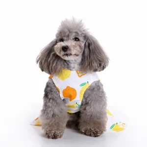 Close-up detail of gray poodle puppy wearing white summer dress with yellow lemon patterns