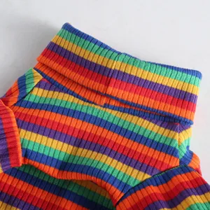 Close-up detail of colorful rainbow striped pet turtleneck sweater, soft ribbed knit fabric design.