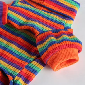 Rainbow striped pet dog clothes detail, cozy turtleneck knitted fabric for cute pets and home wear.