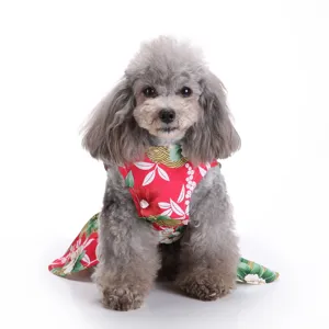 Close-up of a grey poodle wearing a red floral print pet dress on a white background