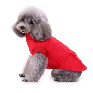 Red pet winter jacket detail showing warm padded dog coat designed for small dogs