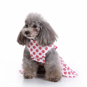 Close-up of a small dog wearing a white summer dress with red floral patterns.
