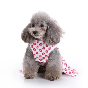 Grey poodle wearing a white summer pet dress with red floral pattern detail