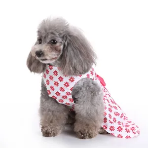 Detailed view of a white pet dress with red flower prints on a small poodle model