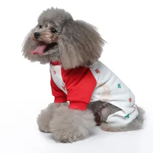 Nahaufnahme eines grauen Pudels in rot-weißen, gemusterten Hunde-Sommerpyjamas