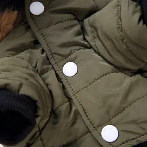 Pet winter coat detail view featuring quilted green fabric and white snap buttons.